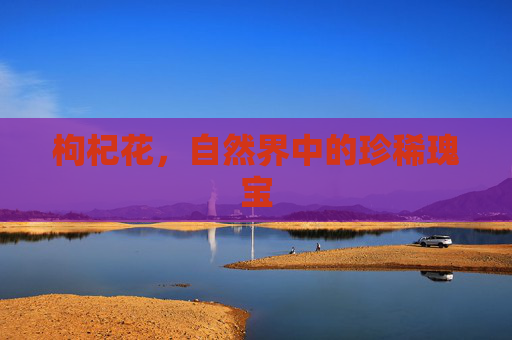 枸杞花，自然界中的珍稀瑰宝