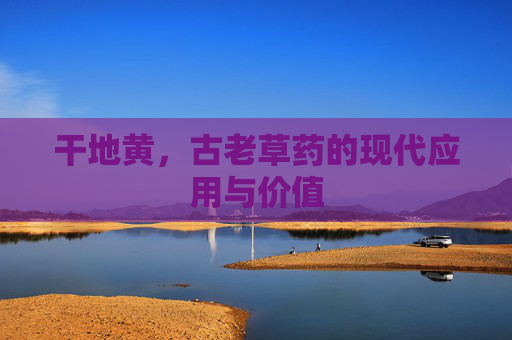干地黄，古老草药的现代应用与价值