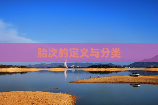 胎次的定义与分类