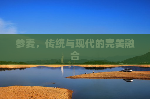 参麦，传统与现代的完美融合