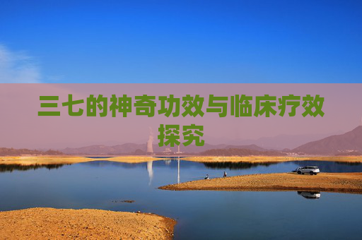 三七的神奇功效与临床疗效探究
