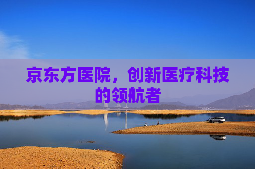 京东方医院，创新医疗科技的领航者
