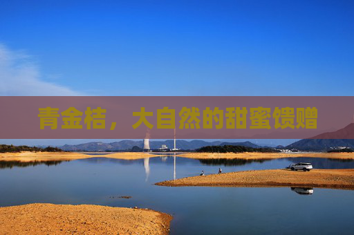 青金桔,大自然的甜蜜馈赠 青金桔,大自然的甜蜜馈赠