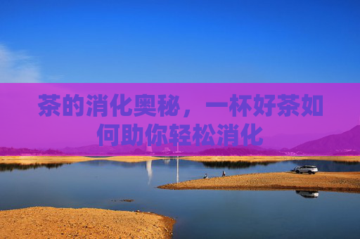 茶的消化奥秘，一杯好茶如何助你轻松消化