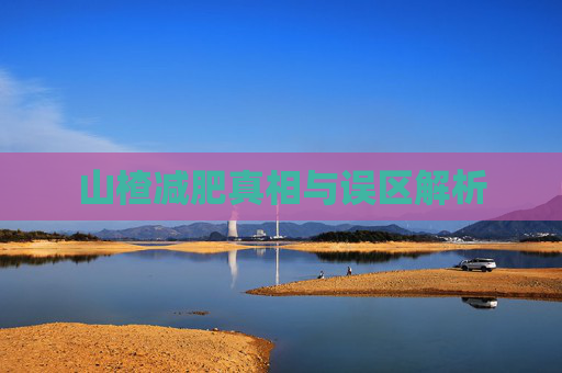 山楂减肥真相与误区解析