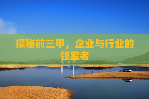探秘前三甲，企业与行业的领军者