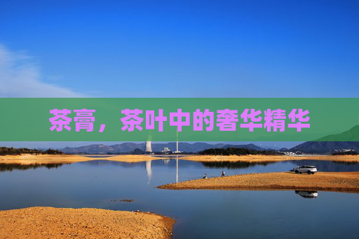 茶膏,茶叶中的奢华精华 茶膏,茶叶中的奢华精华