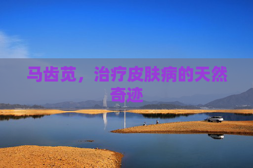 马齿苋，治疗皮肤病的天然奇迹
