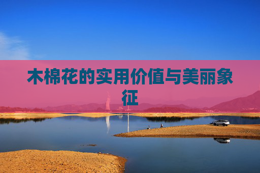 木棉花的实用价值与美丽象征 木棉花的实用价值与美丽象征