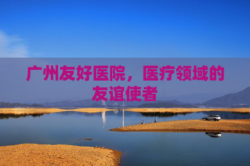 广州友好医院,医疗领域的友谊使者 广州友好医院,医疗领域的友谊使者