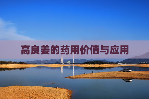 高良姜的药用价值与应用