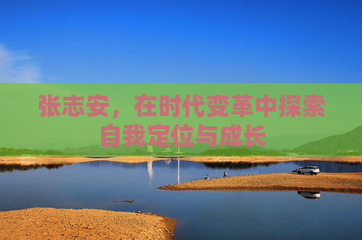 张志安，在时代变革中探索自我定位与成长