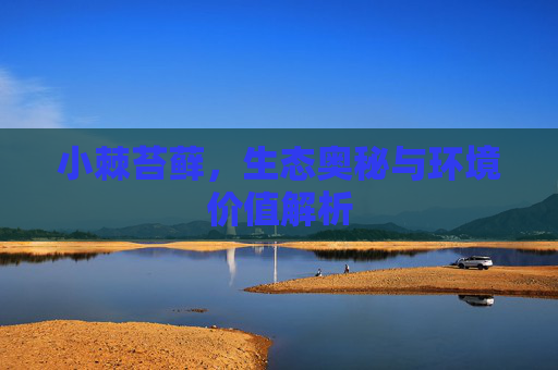 小棘苔藓，生态奥秘与环境价值解析