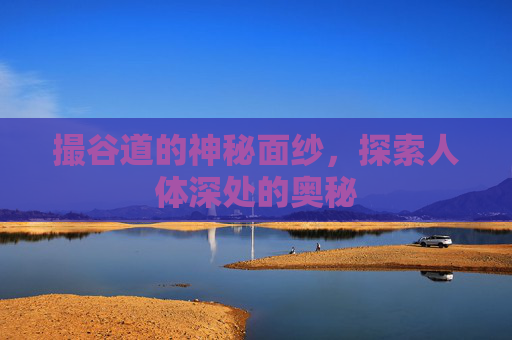 撮谷道的神秘面纱，探索人体深处的奥秘