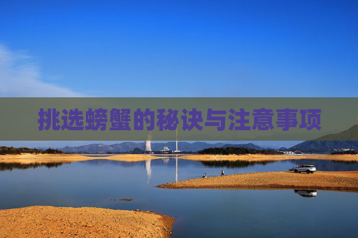 挑选螃蟹的秘诀与注意事项 挑选螃蟹的秘诀与注意事项