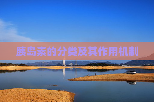 胰岛素的分类及其作用机制