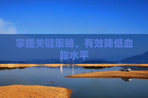 掌握关键策略,有效降低血脂水平 掌握关键策略,有效降低血脂水平