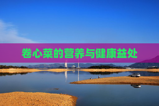 卷心菜的营养与健康益处
