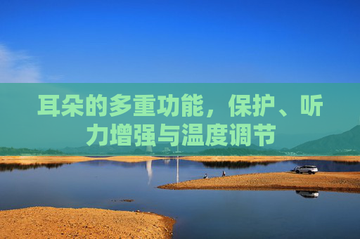 耳朵的多重功能，保护、听力增强与温度调节