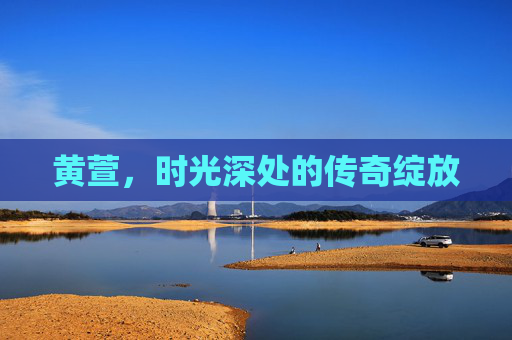 黄萱，时光深处的传奇绽放