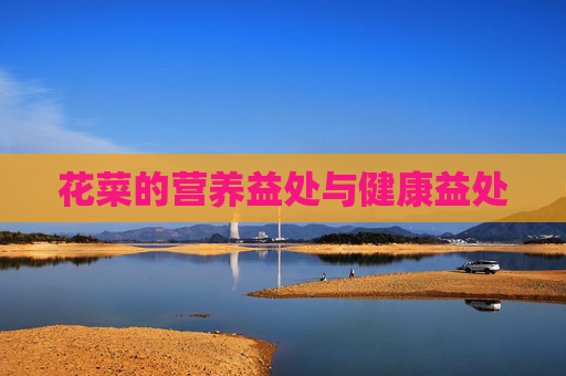 花菜的营养益处与健康益处