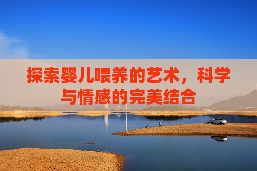 探索婴儿喂养的艺术,科学与情感的完美结合 探索婴儿喂养的艺术,科学与情感的完美结合