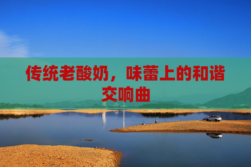 传统老酸奶，味蕾上的和谐交响曲