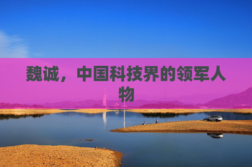 魏诚，中国科技界的领军人物