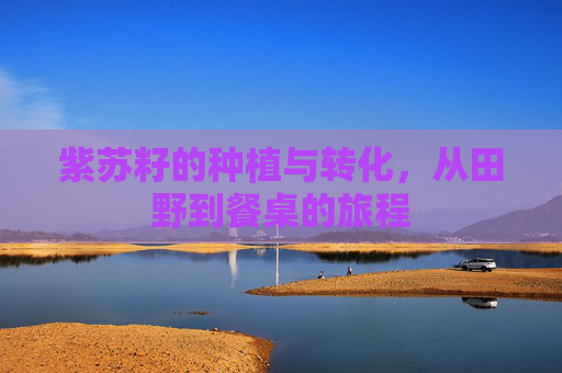 紫苏籽的种植与转化，从田野到餐桌的旅程