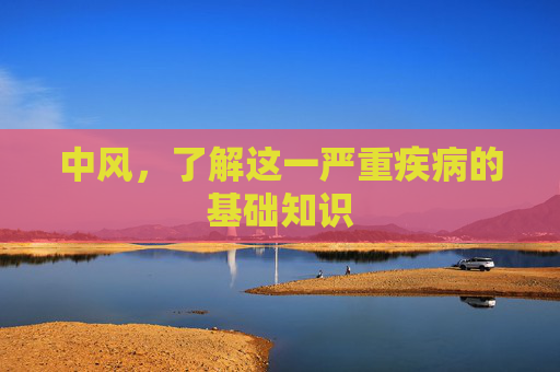 中风，了解这一严重疾病的基础知识