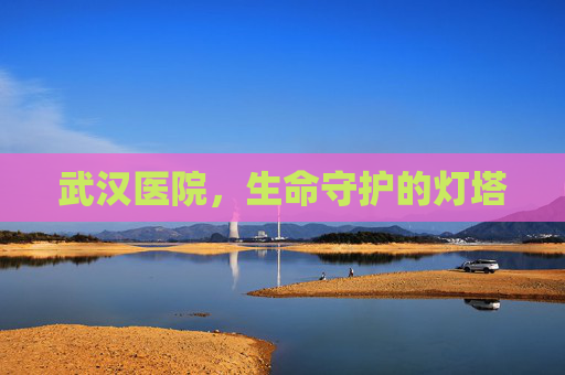 武汉医院，生命守护的灯塔