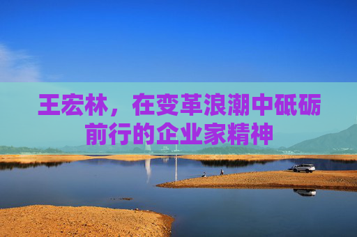 王宏林,在变革浪潮中砥砺前行的企业家精神 王宏林,在变革浪潮中砥砺前行的企业家精神