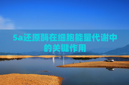 5a还原酶在细胞能量代谢中的关键作用