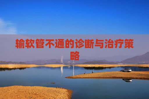 输软管不通的诊断与治疗策略