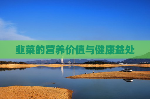 韭菜的营养价值与健康益处