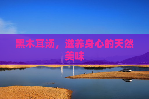 黑木耳汤，滋养身心的天然美味