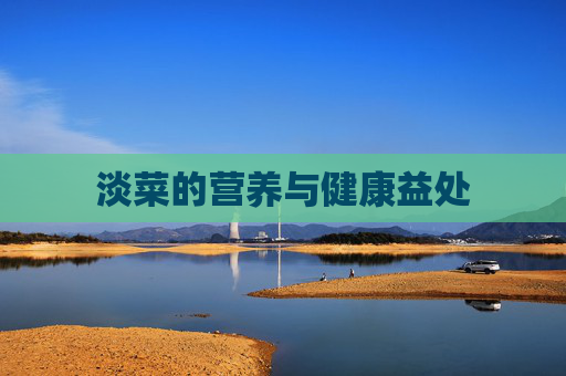 淡菜的营养与健康益处