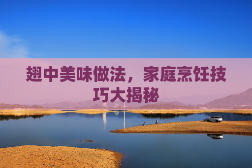 翅中美味做法，家庭烹饪技巧大揭秘