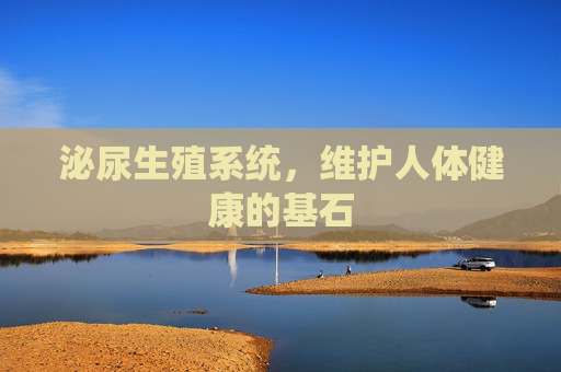 泌尿生殖系统,维护人体健康的基石 泌尿生殖系统,维护人体健康的基石