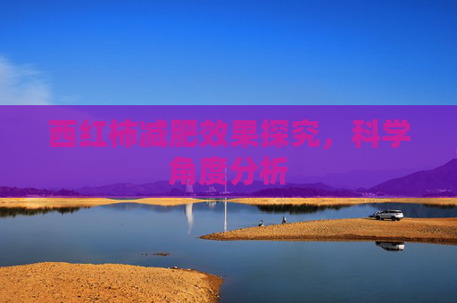 西红柿减肥效果探究,科学角度分析 西红柿减肥效果探究,科学角度分析