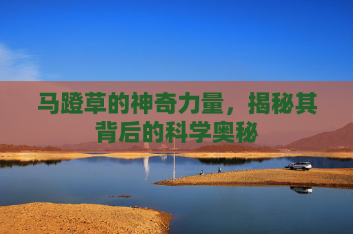 马蹬草的神奇力量,揭秘其背后的科学奥秘 马蹬草的神奇力量,揭秘其背后的科学奥秘
