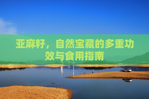 亚麻籽，自然宝藏的多重功效与食用指南