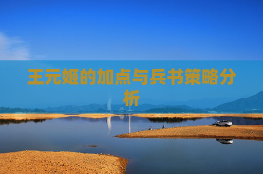 王元姬的加点与兵书策略分析