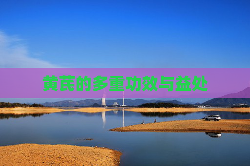 黄芪的多重功效与益处