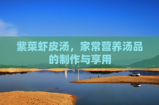 紫菜虾皮汤，家常营养汤品的制作与享用