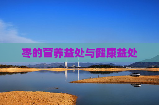 枣的营养益处与健康益处