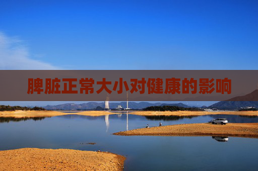 脾脏正常大小对健康的影响