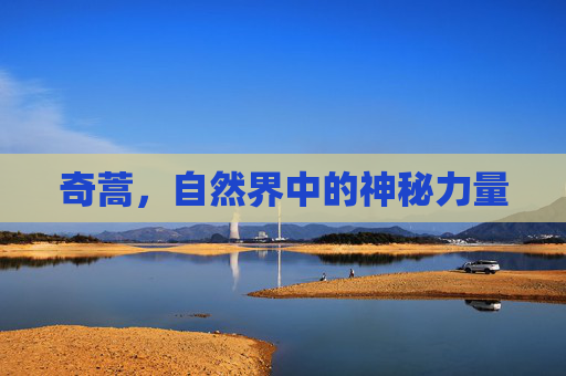 奇蒿，自然界中的神秘力量