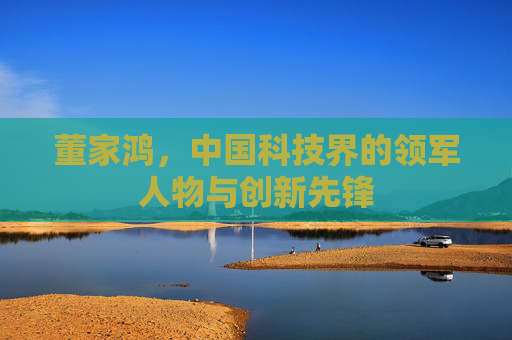 董家鸿，中国科技界的领军人物与创新先锋