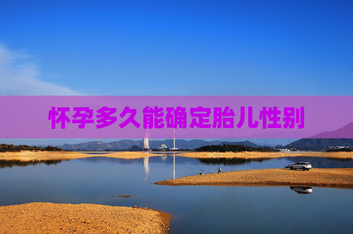 怀孕多久能确定胎儿性别 怀孕多久能确定胎儿性别